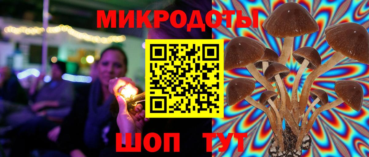 Галлюциногенные грибы MAGIC MUSHROOMS Вичуга